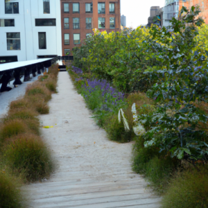 A Remarkable Transformation from an Idle Railway to a Vibrant Urban Park: The High Line
