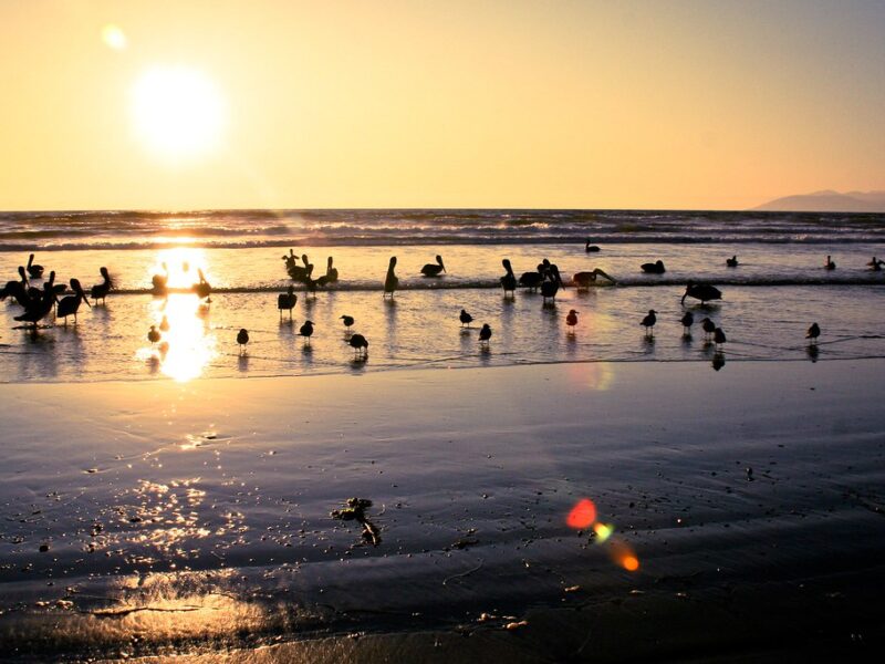 pismo beach
