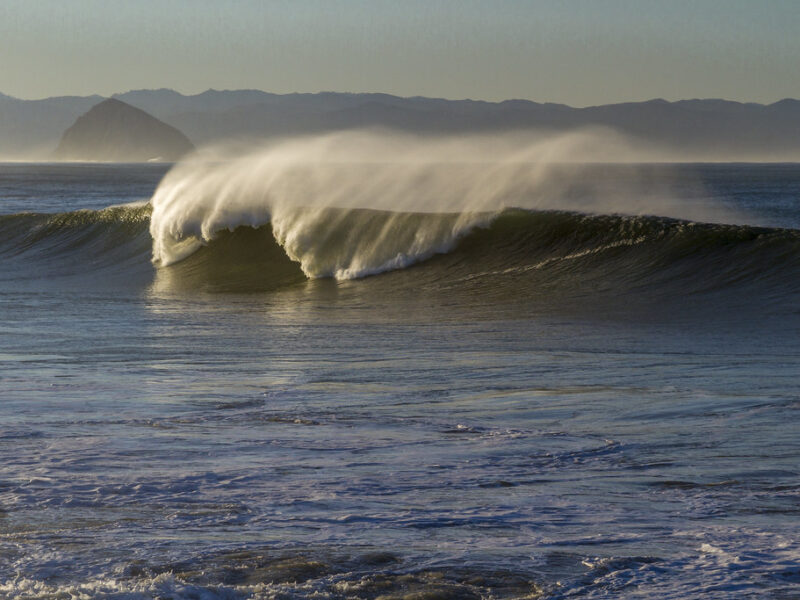 Cayucos wave
