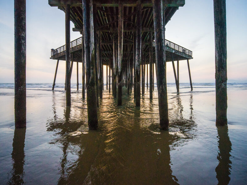 Under the Pismo Pier-Sony A7II, Leica Tri-Elmar 16-18-21