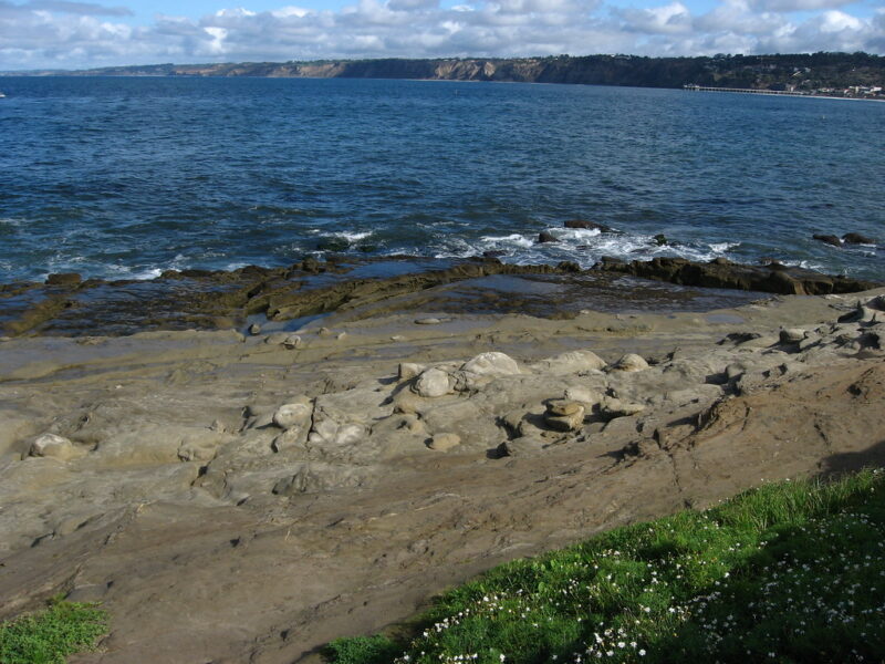 La Jolla Cove, San Diego, California (27)