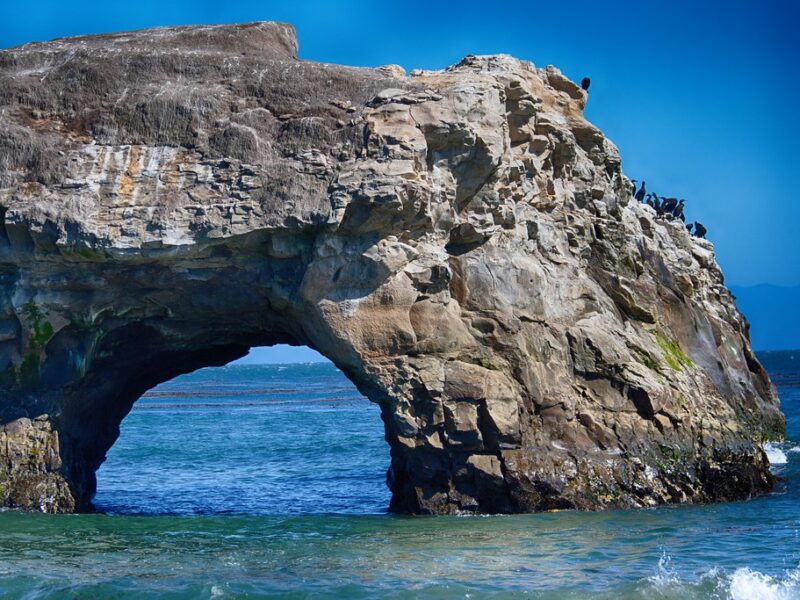 Natural Bridges State Beach 6