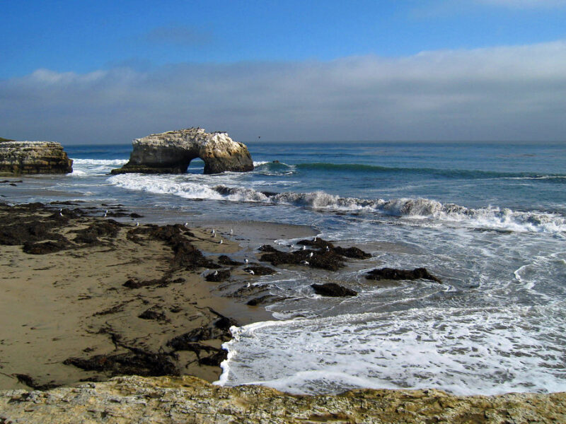 Natural Bridges State Beach 3