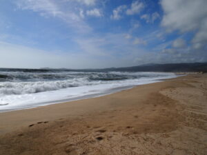 Francis Beach, Half Moon Bay State Park