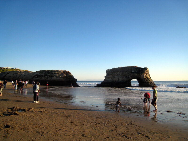 Natural Bridges State Beach 8