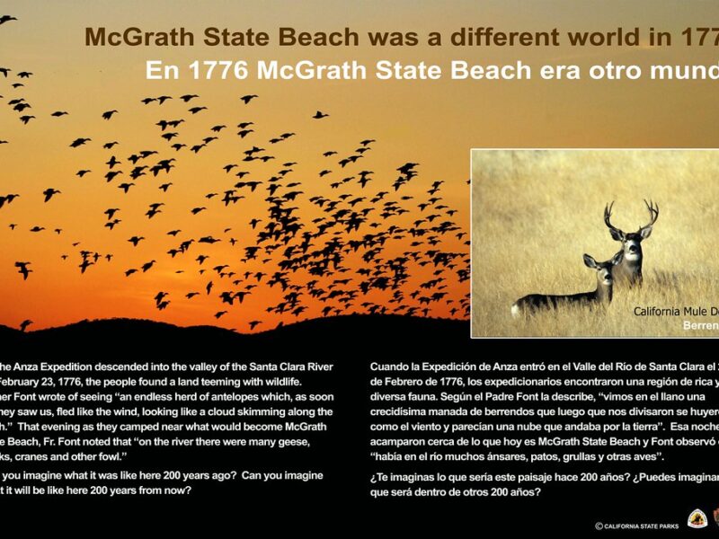 McGrath State Beach wayside