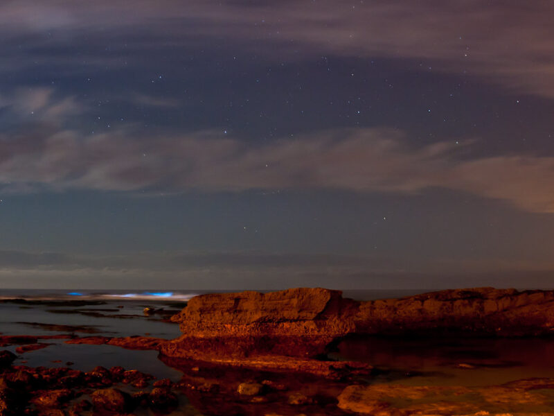 Bioluminescent tide (red tide) at La Jolla Cove glows.