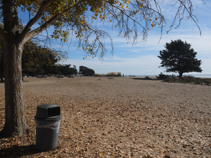 Robert W. Crown Memorial State Beach 4