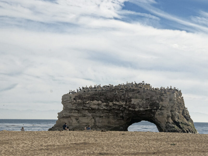 Natural Bridges State Beach