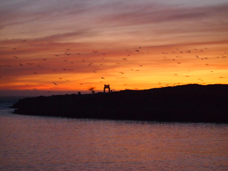Moss Landing State Beach 5
