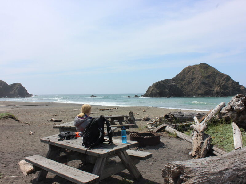 Picnic lunch at Greenwood State Beach