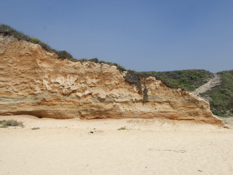 Montara State Beach 4