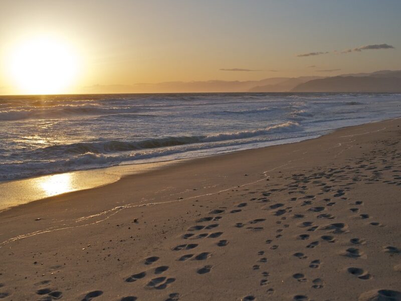 McGrath State Beach