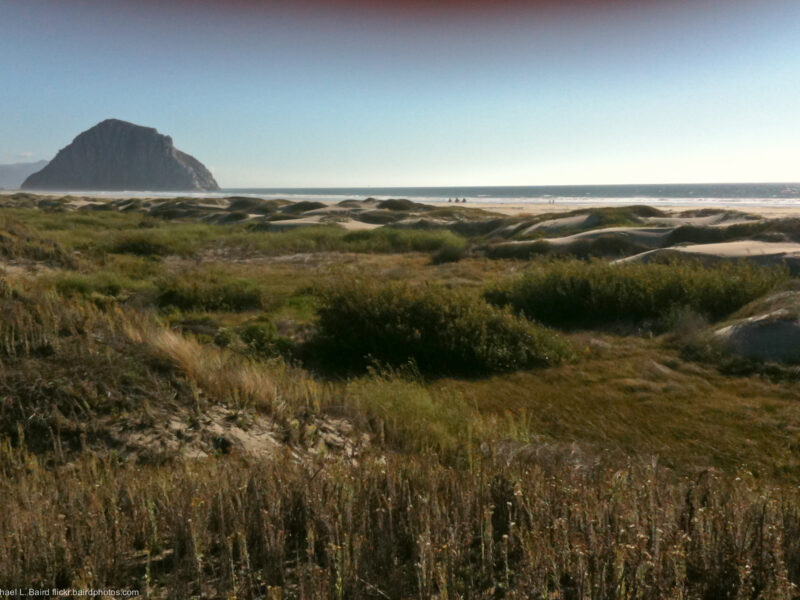 Morro Strand State Beach