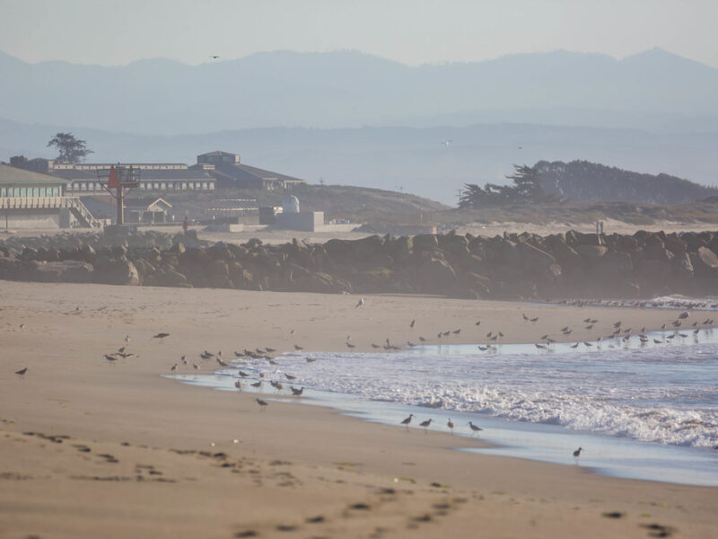 Moss Landing State Beach, CA