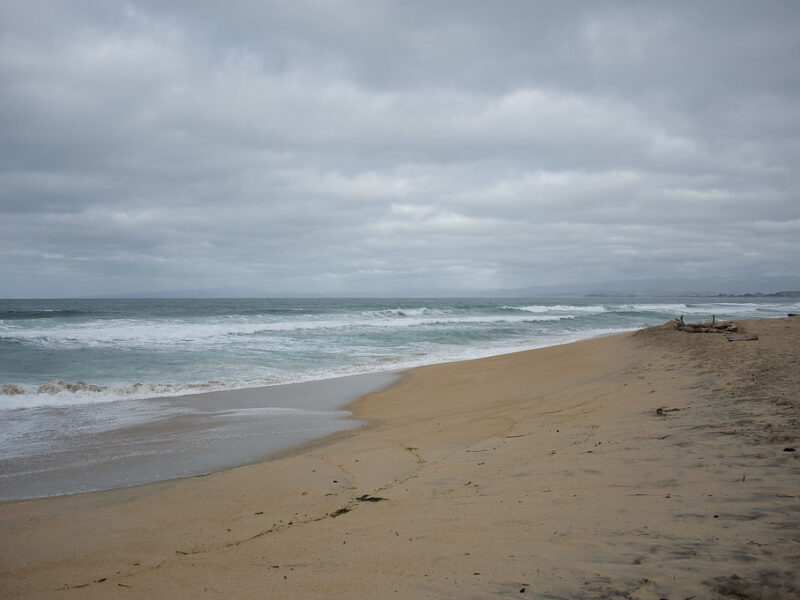 Salinas River State Beach