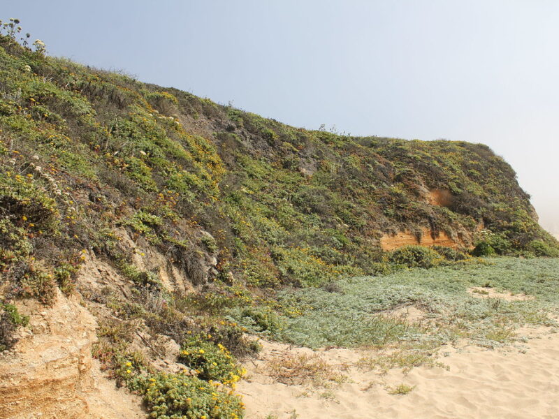 Montara State Beach 5