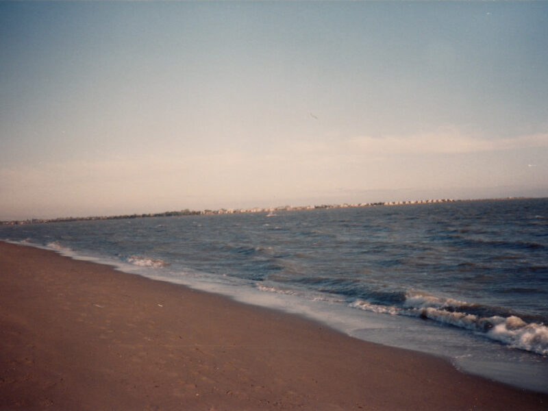 Robert W. Crown Memorial State Beach 5