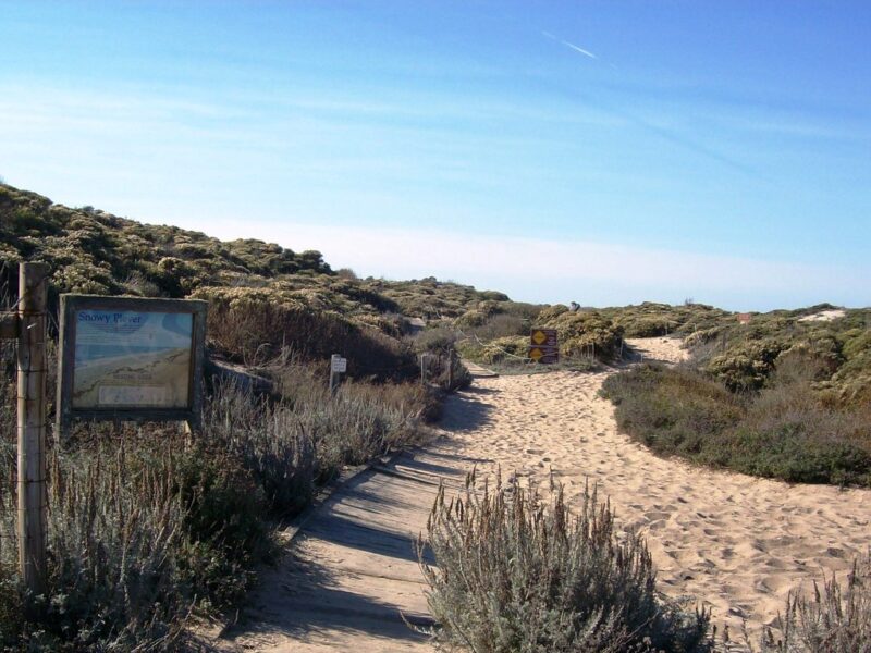 Access path to Salinas River State Beach near Castroville, CA - salinas001