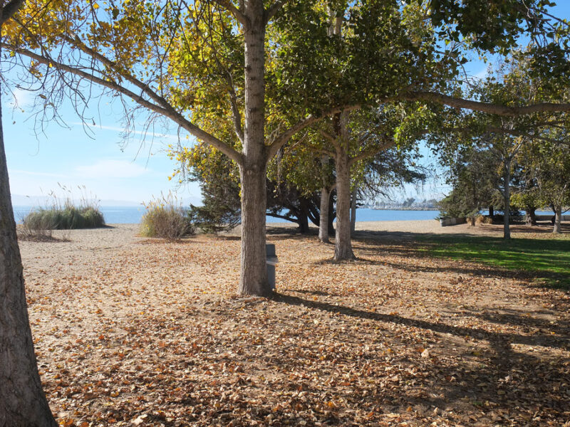 Robert W. Crown Memorial State Beach 2