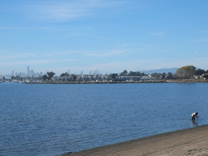 Robert W. Crown Memorial State Beach 3