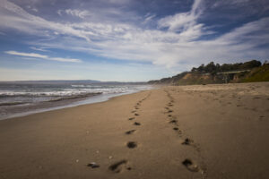 Manresa state beach, California
