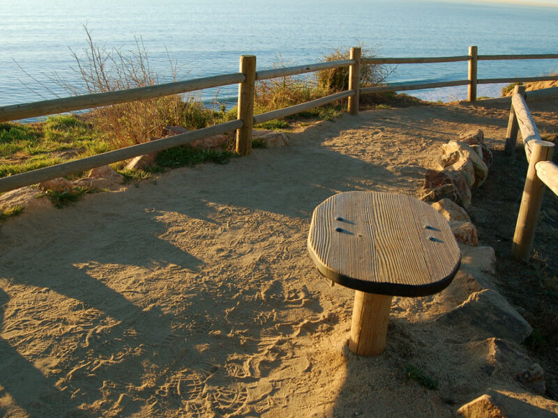 Torrey Pines State Park 2