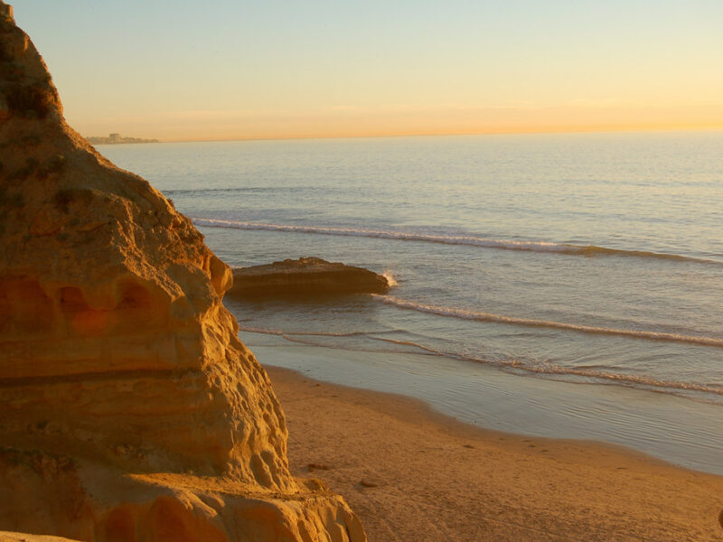 Torrey Pines State Park