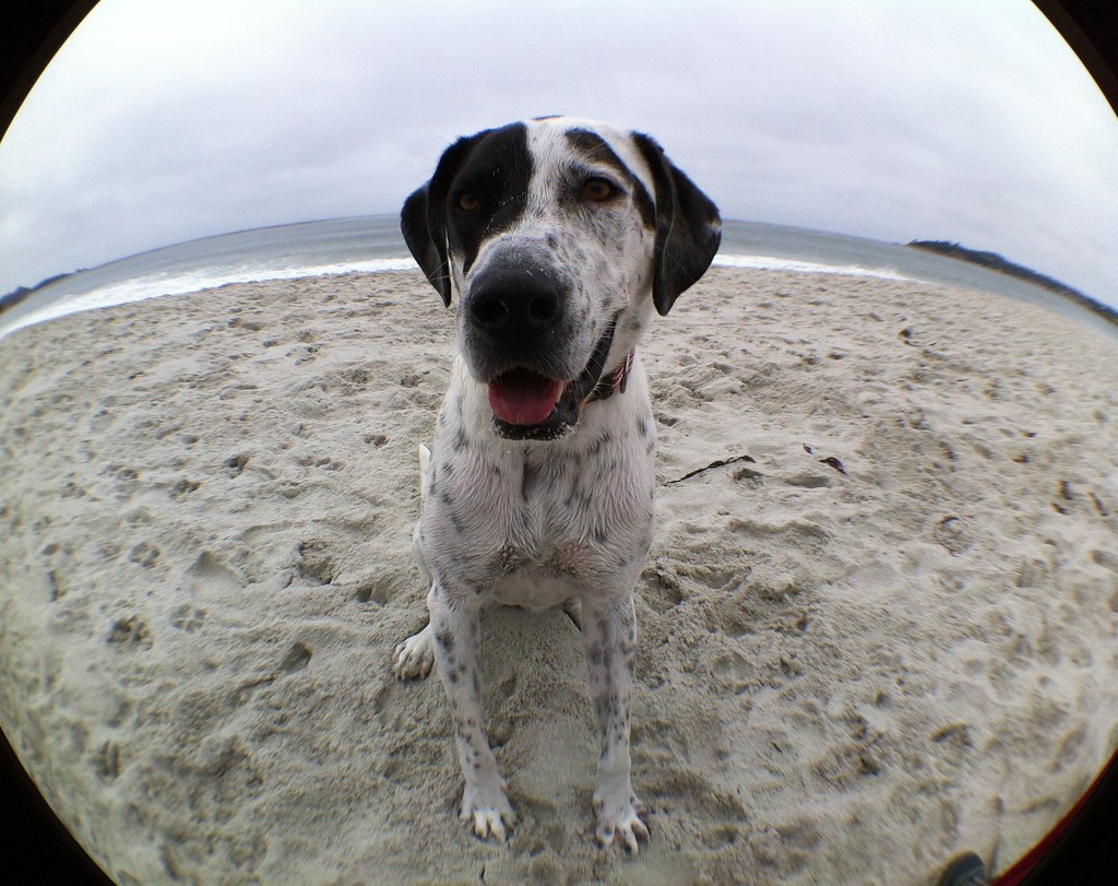Hope at Carmel Beach